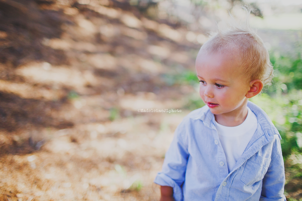 Tustin Orange County family session in park. Cedar Grove Park Tustin California session